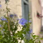 펜션 Bianco Calce -