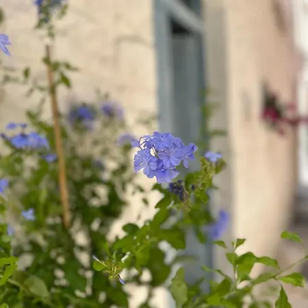 Holiday home Bianco Calce -