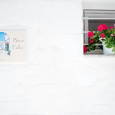 Bianco Calce - * 오스투니